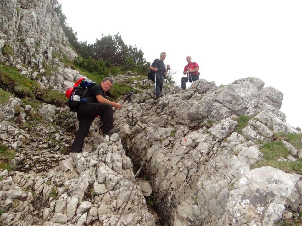 Ljubelj-Zelenica-Begunjščica-29.6.2014 - foto povečava