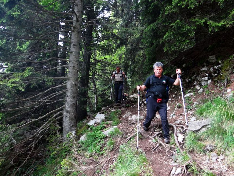 Ljubelj-Zelenica-Begunjščica-29.6.2014 - foto povečava