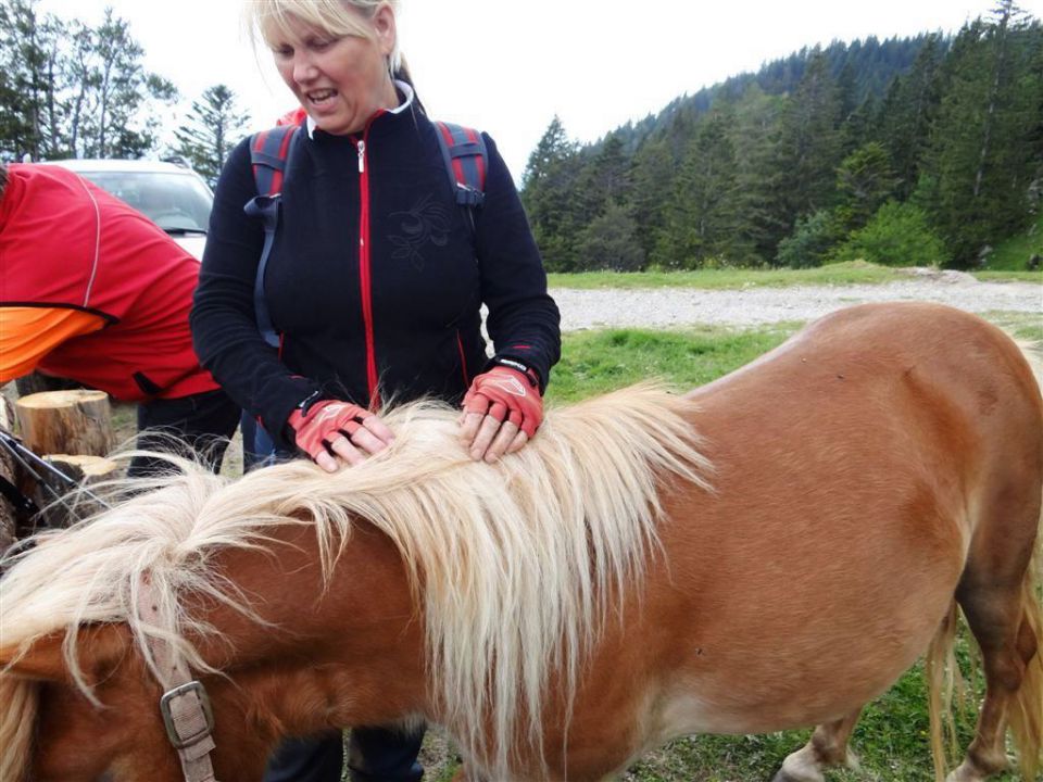 Ljubelj-Zelenica-Begunjščica-29.6.2014 - foto povečava