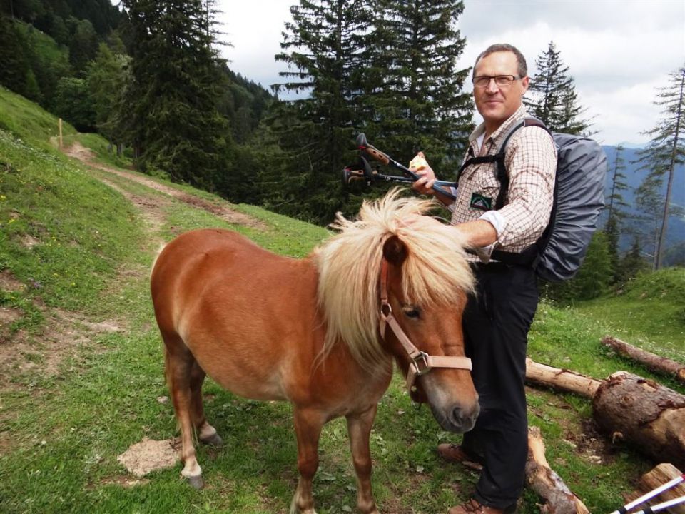 Ljubelj-Zelenica-Begunjščica-29.6.2014 - foto povečava