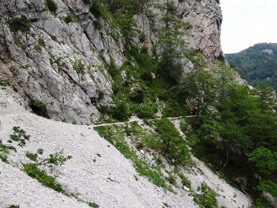 Ljubelj-Zelenica-Begunjščica-29.6.2014 - foto povečava