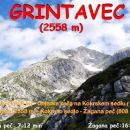 Žagana peč-Kokrško sedlo-Grintovec-6.7.2014