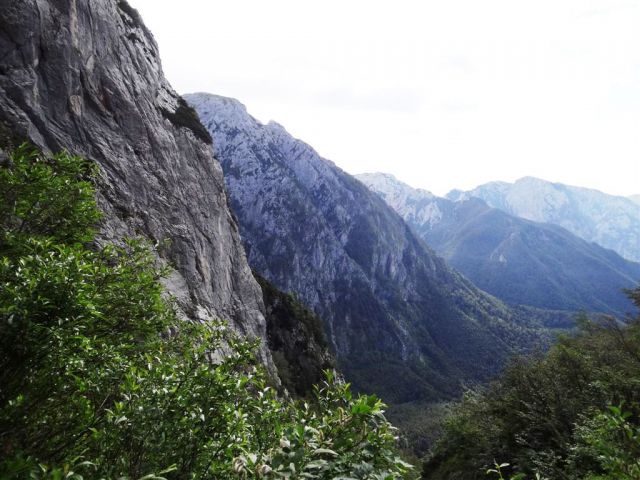 Žagana peč-Kokrško sedlo-Grintovec-6.7.2014 - foto