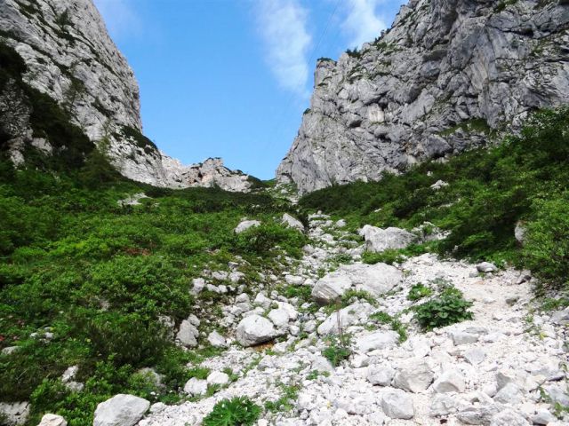 Žagana peč-Kokrško sedlo-Grintovec-6.7.2014 - foto