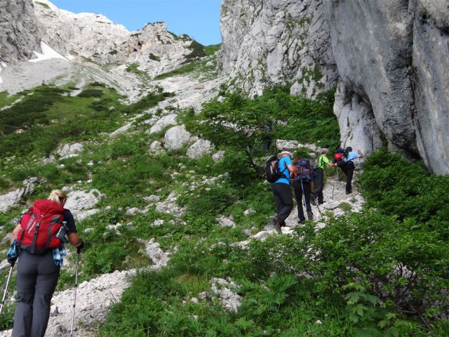 Žagana peč-Kokrško sedlo-Grintovec-6.7.2014 - foto