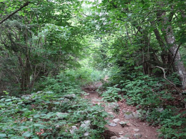 Pl.Kuhinja-Krn+Avsa-Matajur-19.-20.7.14 - foto