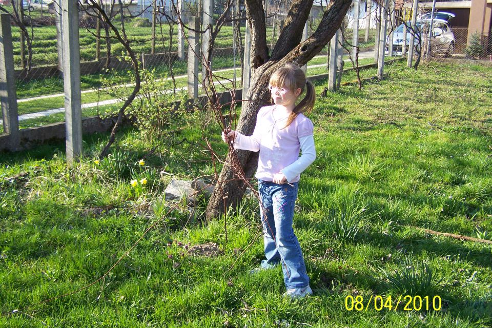 OTVORITVENI PIKNIK NA VRTU - foto povečava