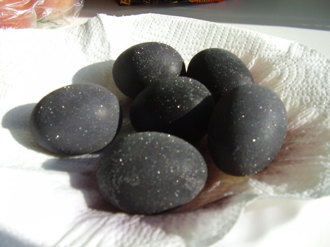 Pirhi 2oo8 - foto povečava