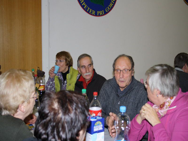 Skupščina Nova Gorica 4.12.2010 - foto povečava