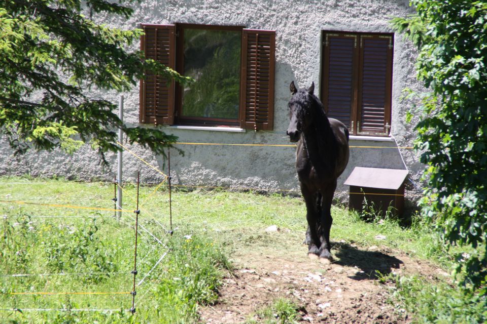 Predmeja Nada, Renato - foto povečava