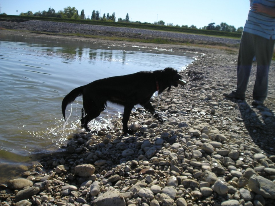 Jankomir 04.10.2009. - foto povečava