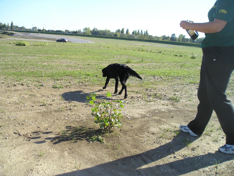 Jankomir 04.10.2009. - foto povečava