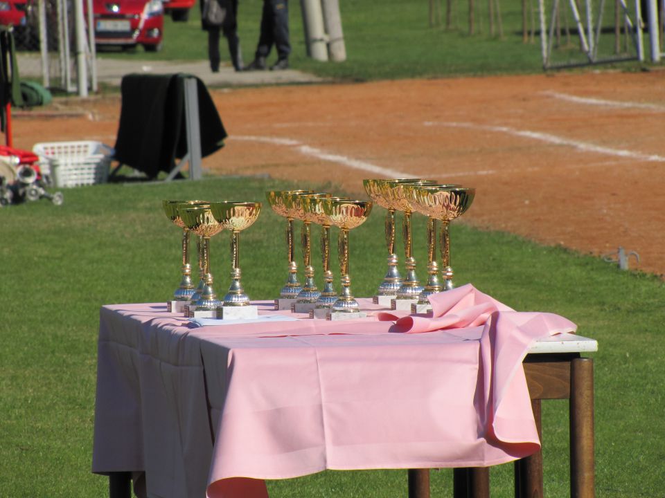 Regijsko tekmovanje mladine - Kozje 2011 - foto povečava