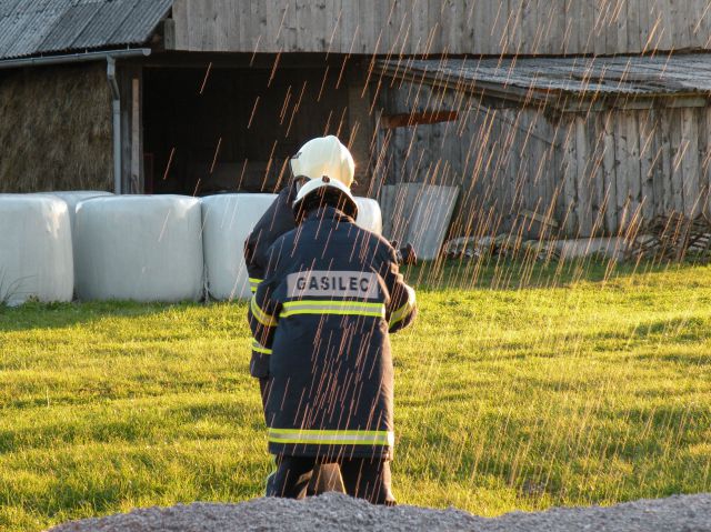 Vaja članic 2012 - foto