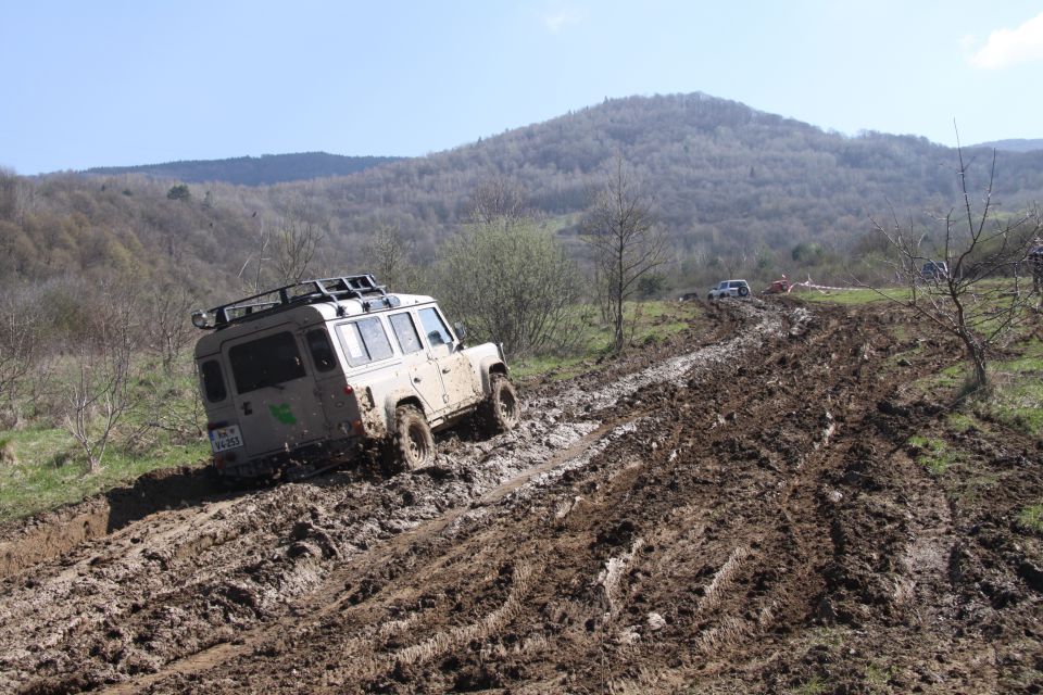 Tisovec - foto povečava