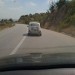Fičolover