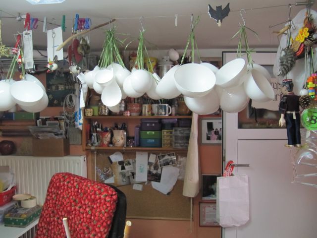 11 kop - foto