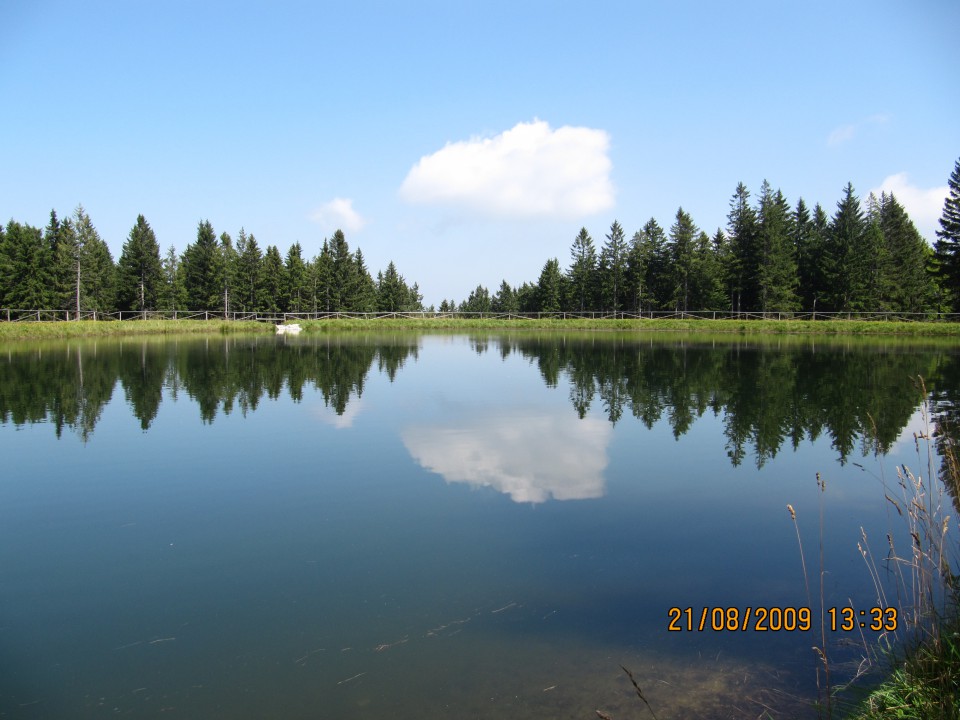 Moje fotografije - foto povečava