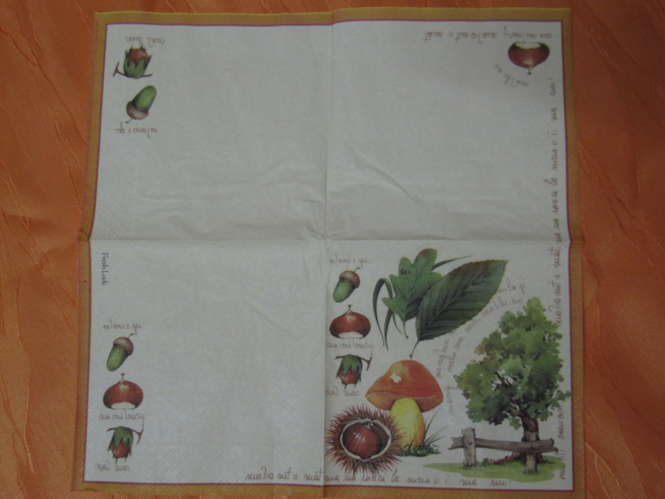 32 kop - foto povečava