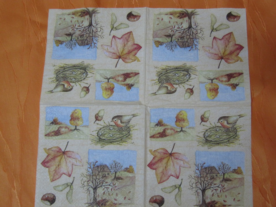 32 kop - foto povečava