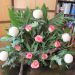 ikebana za pokopališče