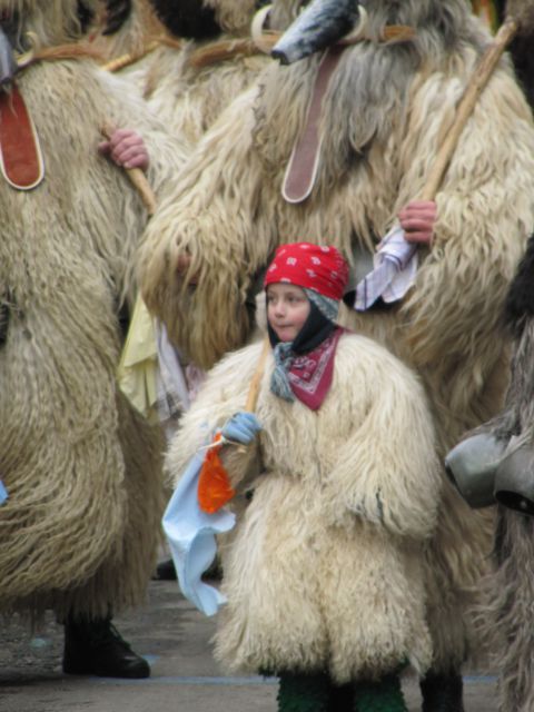 FAŠENK  PTUJ  2010 - foto