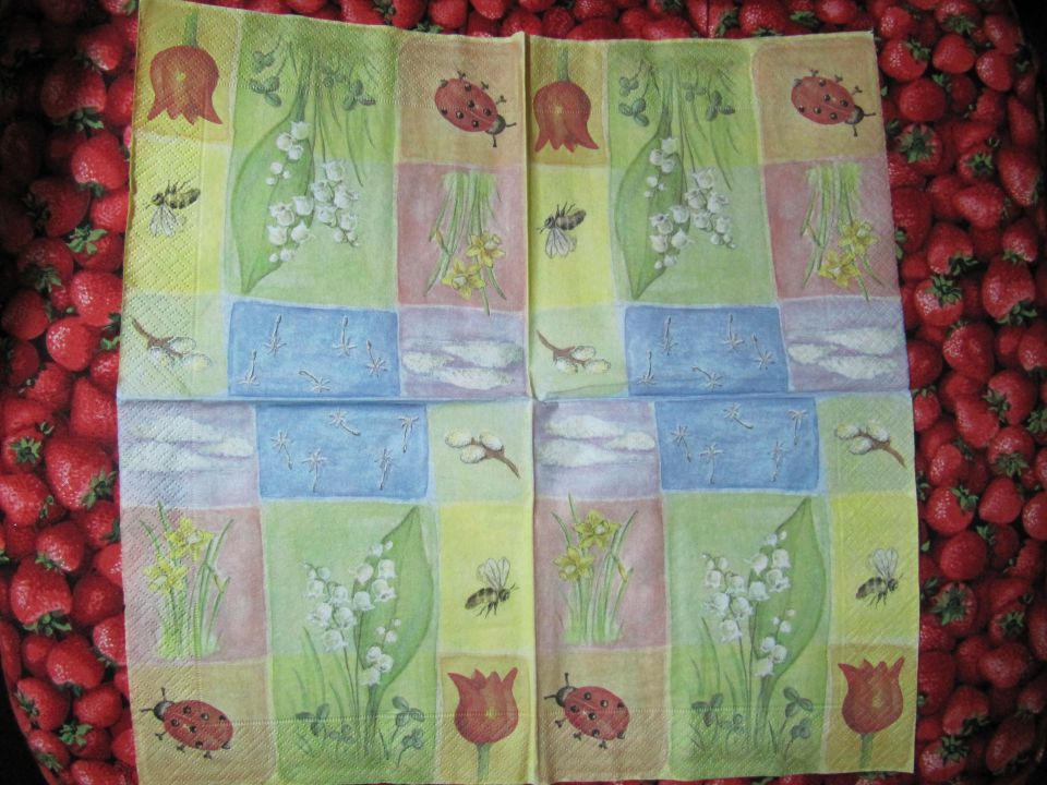 št.507