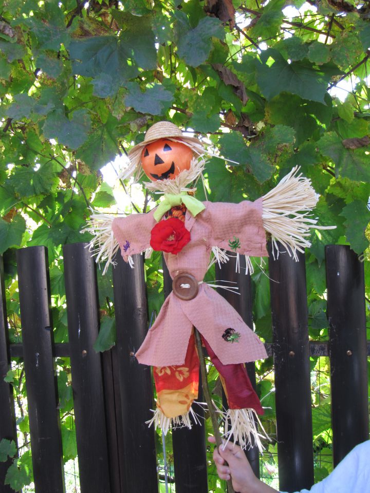 26 kop - foto povečava