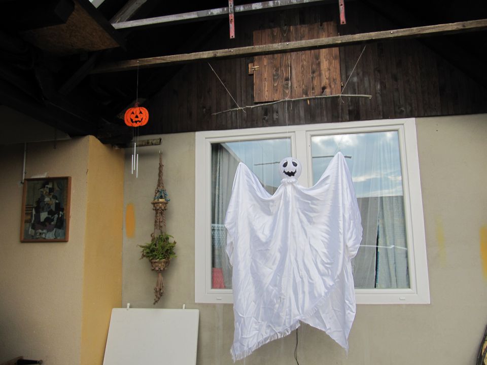 26 kop - foto povečava