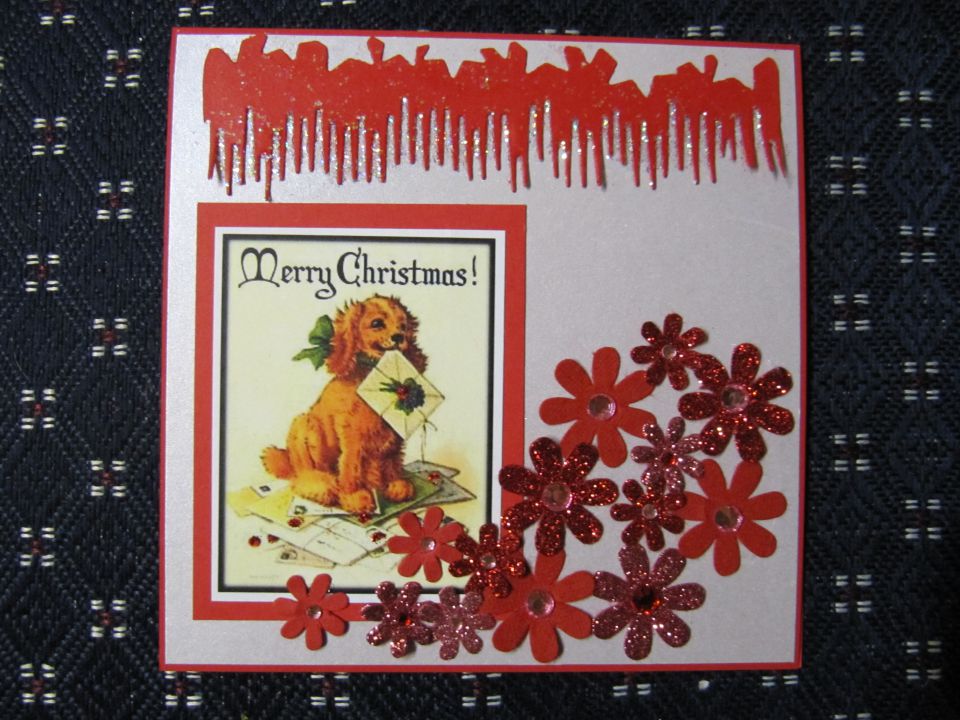 13 kop - foto povečava