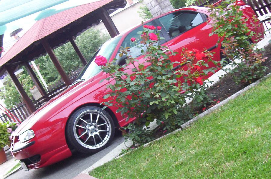 Moje EX Alfe - foto povečava