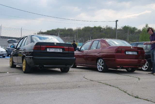 Alfa meetings - 11 alfapassione 2010 - foto