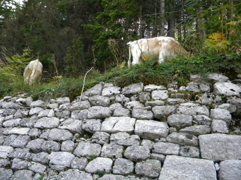 Alfa meetings - 19 Vršič, Bled, ...2010 - foto povečava