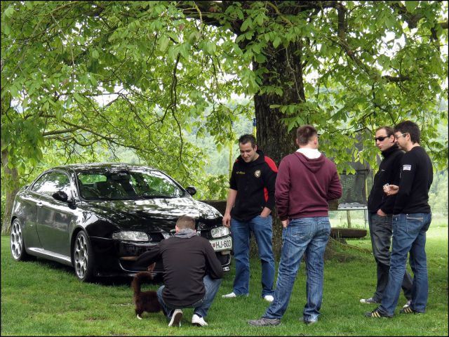 Alfa meeting - 55  alfafest Brkini 2014 - foto