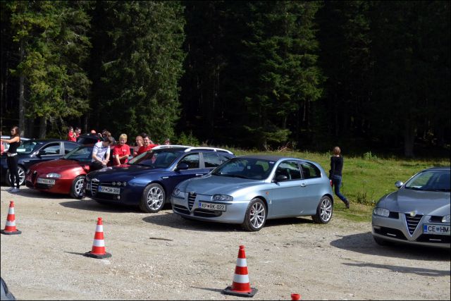 Alfa meeting 60 - alfa rally 2014 - foto