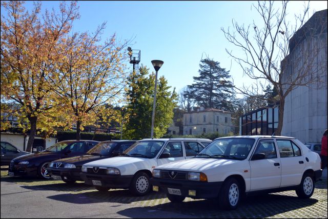 Alfa meeting 61 - istra tour 2014 - foto