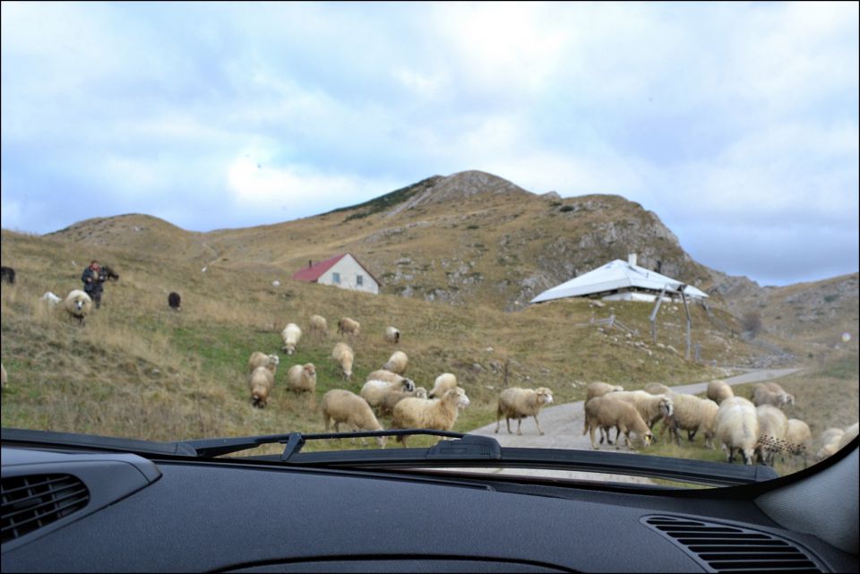 Montenegro 2014 - foto povečava