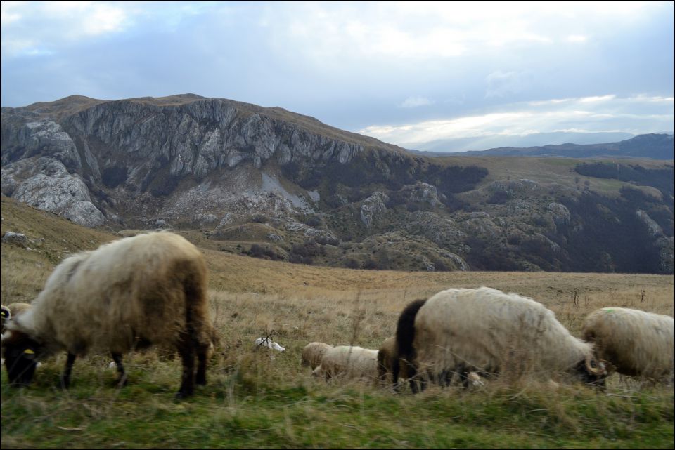 Montenegro 2014 - foto povečava