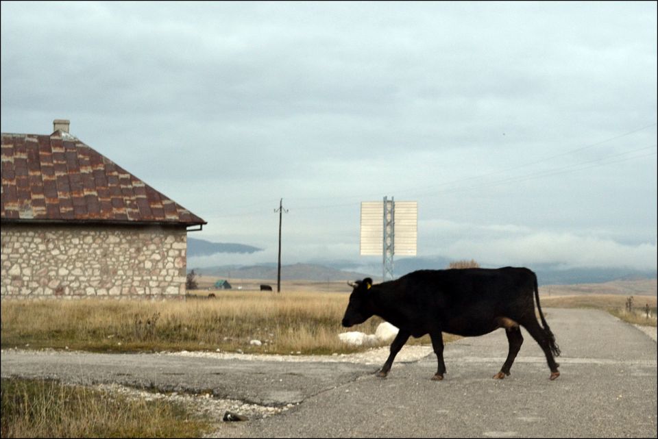 Montenegro 2014 - foto povečava