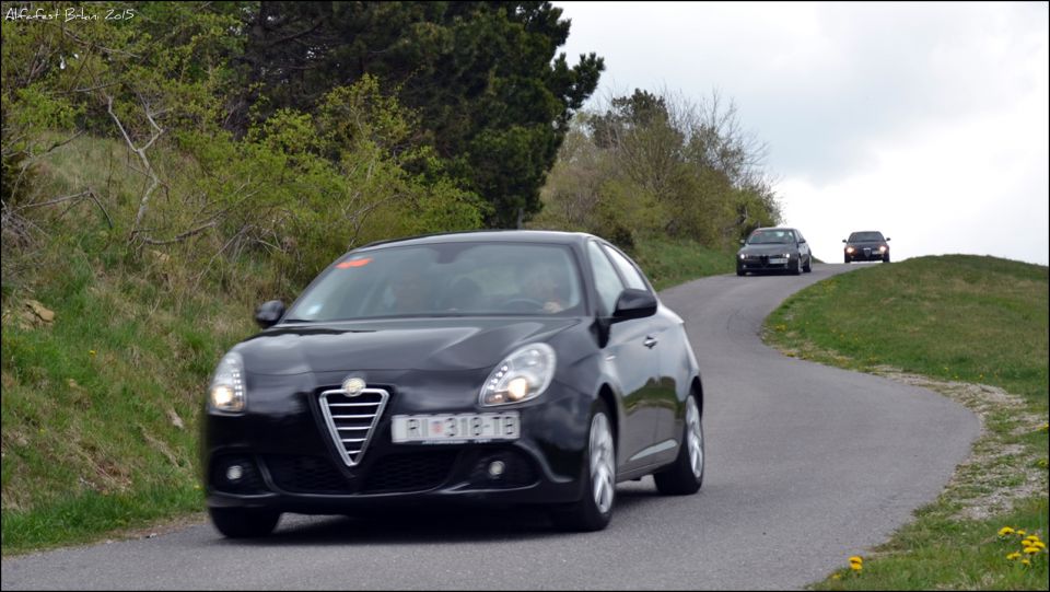 Alfa meeting 65 - brkini 2015 - part 2 - foto povečava