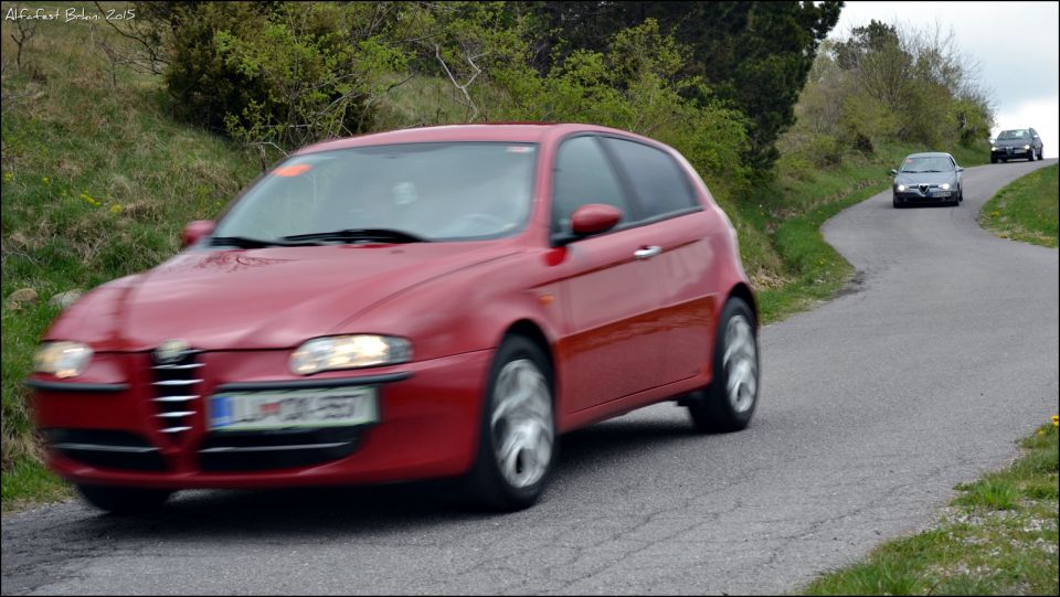 Alfa meeting 65 - brkini 2015 - part 2 - foto povečava