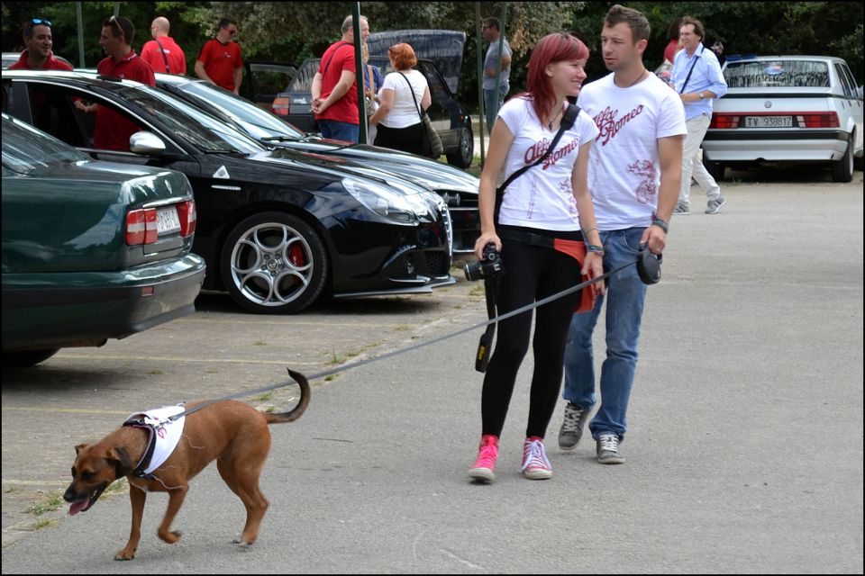 Alfa meeting 71 - istra 2015 - foto povečava