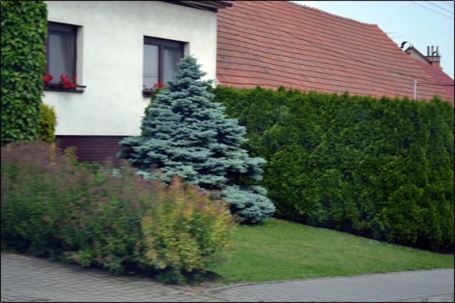 82 - Brno 2016 - foto