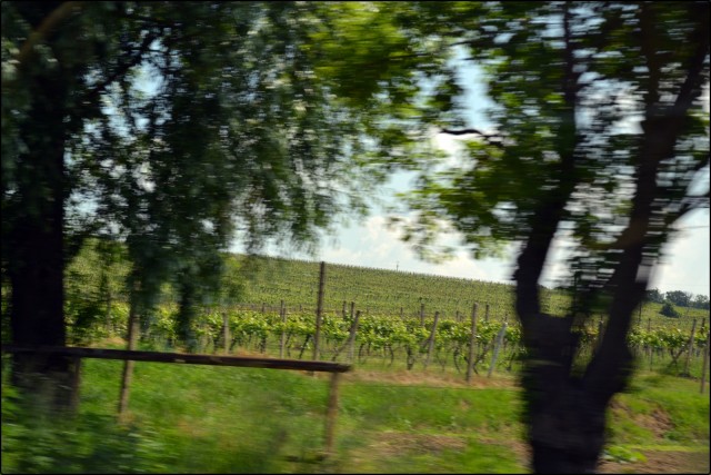 82 - Brno 2016 - foto