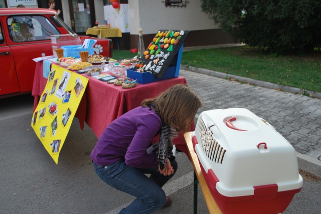 Lumpa in Miško, kje sta??