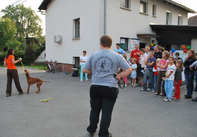 Enota reševanih psov Slovenije