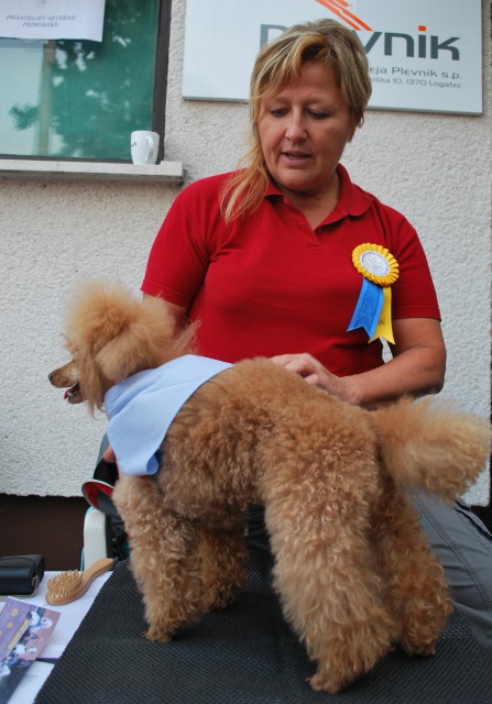 Humanitarno društvo Tačke pomagačke - terapija s pomočjo psov