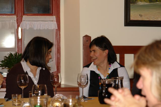 Idrija, srečanje 88, 11 2008,  - foto