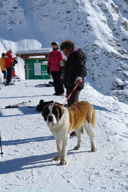 Verbier CH in Milano I, 2011 - foto