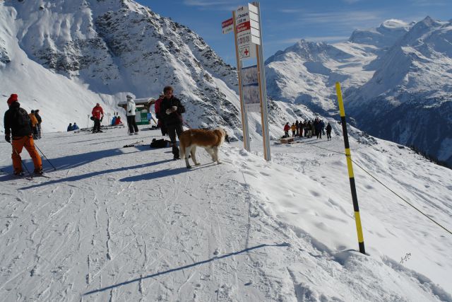 Verbier CH in Milano I, 2011 - foto